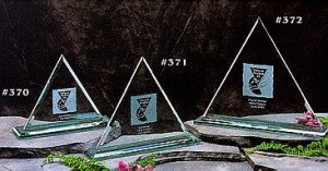 Jade Triangle Award