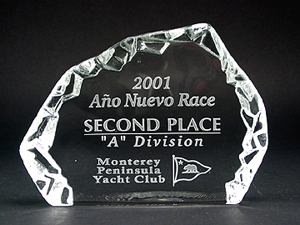 Crystal Iceberg Award (M)