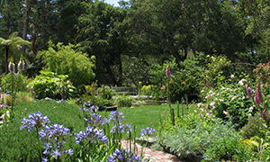 Image of Garden at Pt. Lobos