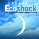 Interview with Rebecca Costa on Radio Ecoshock with host Alex Smith