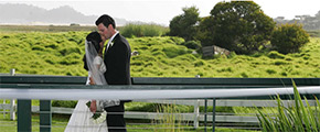 Weddings Photo Gallery