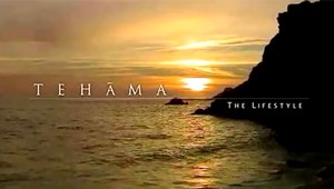 Image of Video 1b