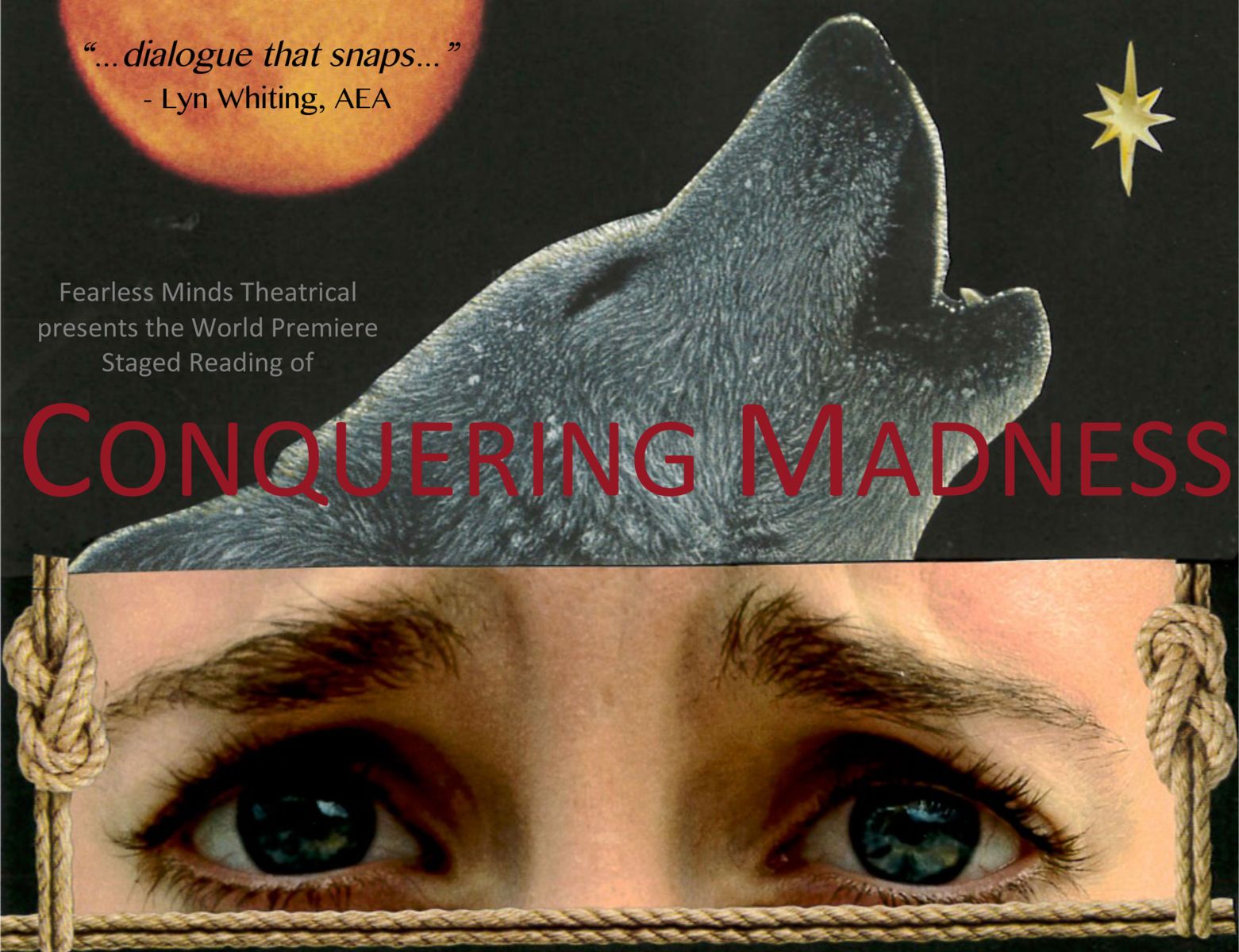 Image of Conquering Madness