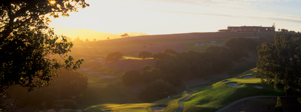 Image of Slideshow #14