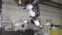 Boston Dynamics' Humanoid Robot Shows Off Gymnastic Routine