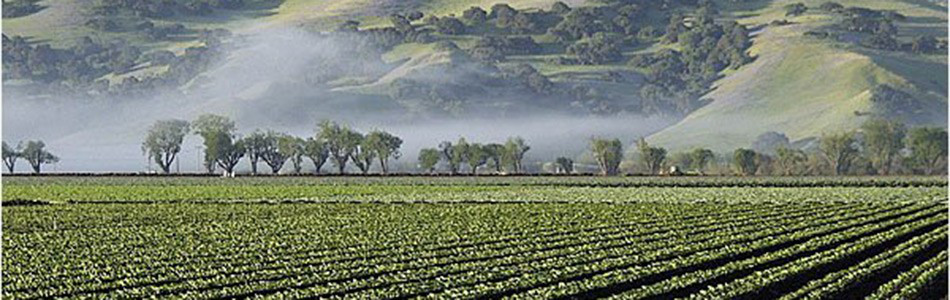 Image about Salinas Valley