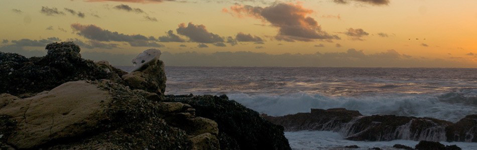 Image about Point Lobos at Sunset
