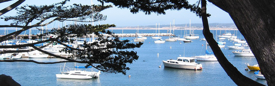 Image about Monterey Harbor