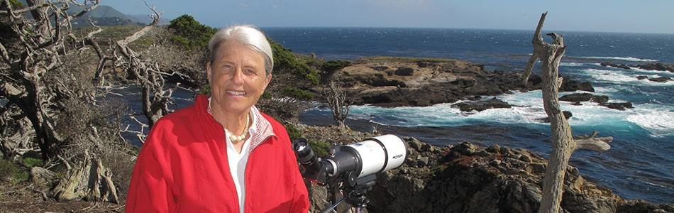 Image about Point Lobos