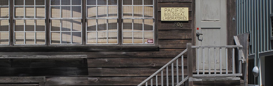 Image about Cannery Row