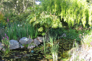 Image of Gallery Item 28b