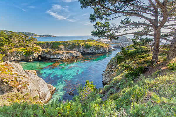 Image of TPI Point Lobos 600x400