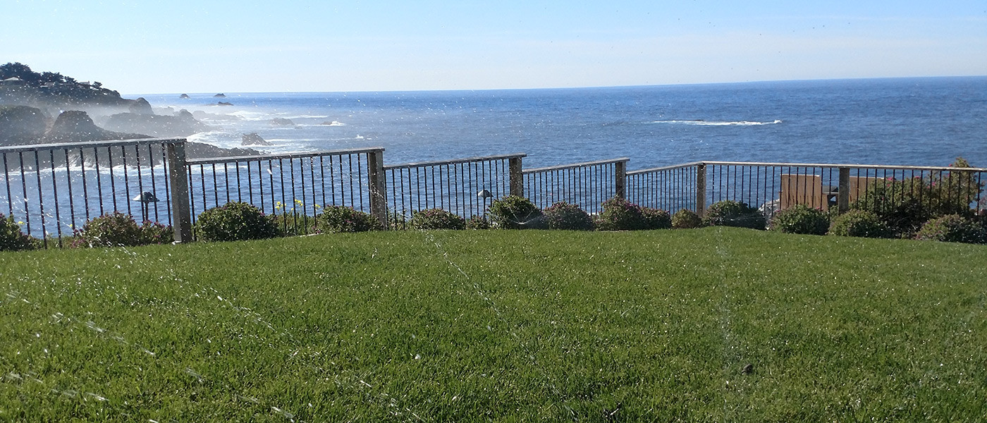 Image about Stillwater Landscaping and Maintenance #1