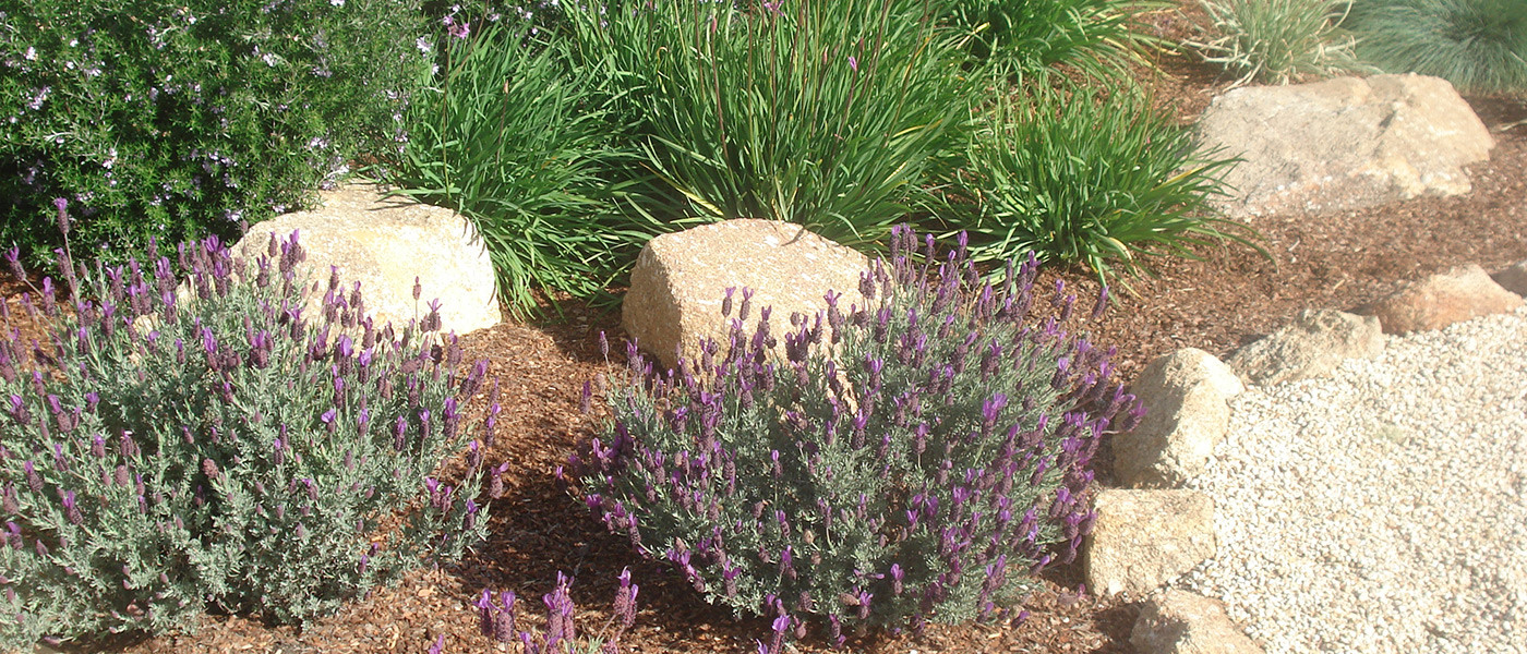 Image about Stillwater Landscaping and Maintenance #3