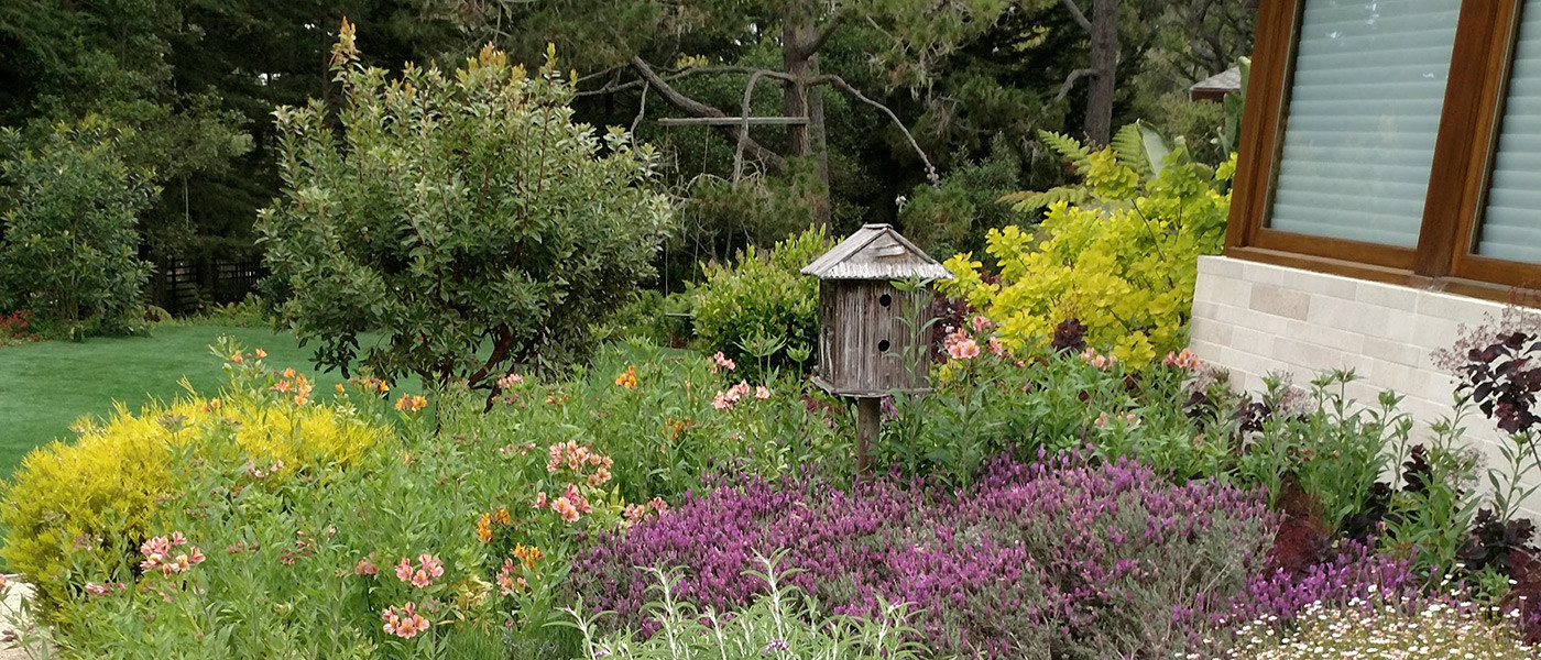 Image about Stillwater Landscaping and Maintenance #2