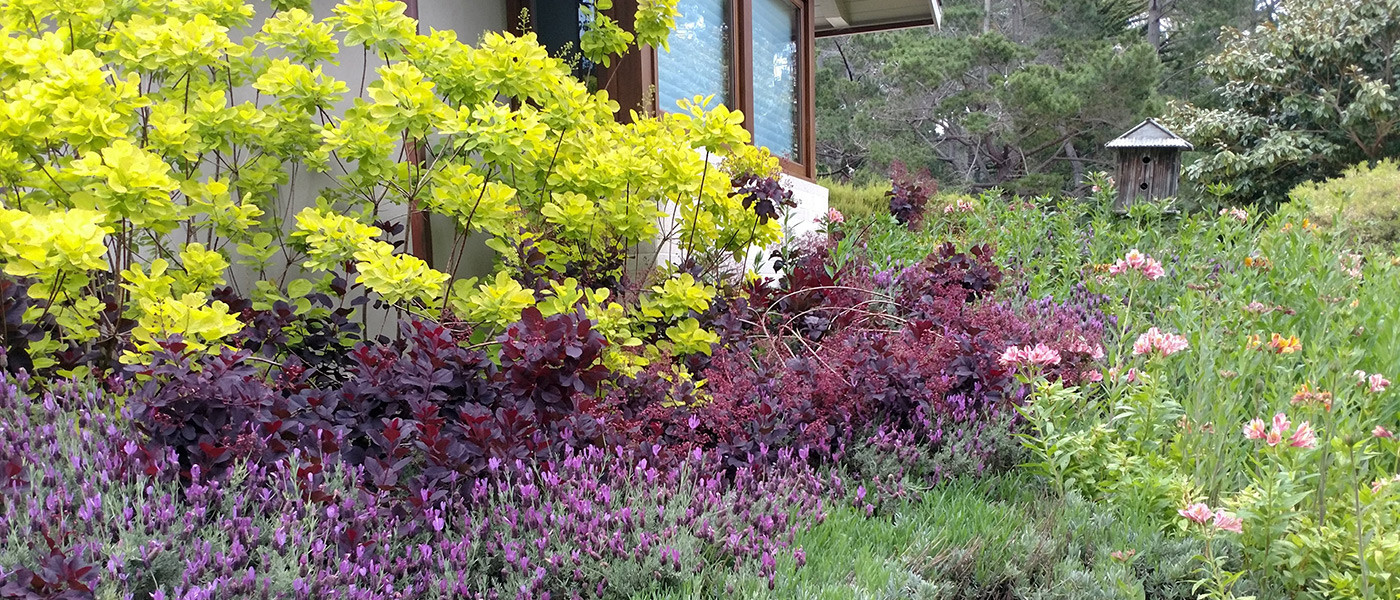 Image about Stillwater Landscaping and Maintenance #1