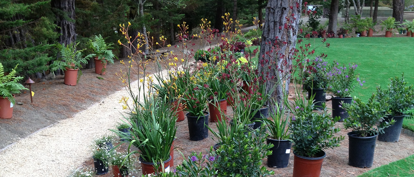 Image about Stillwater Landscaping and Maintenance #3