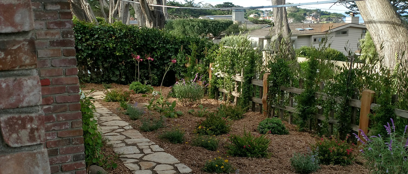 Image about Stillwater Landscaping and Maintenance #2
