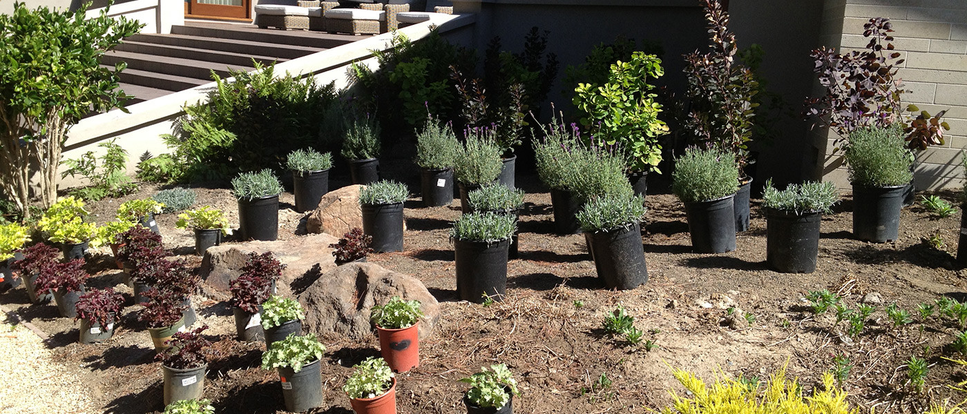 Image about Stillwater Landscaping and Maintenance #1