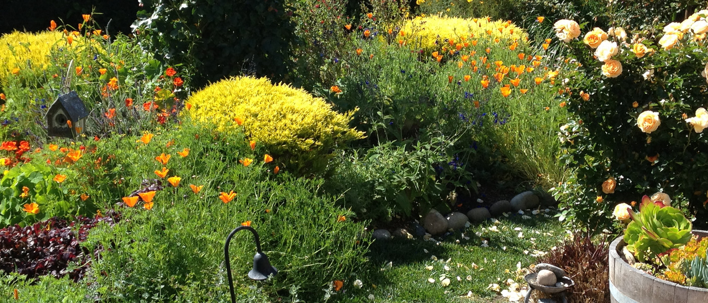 Image about Stillwater Landscaping and Maintenance #5