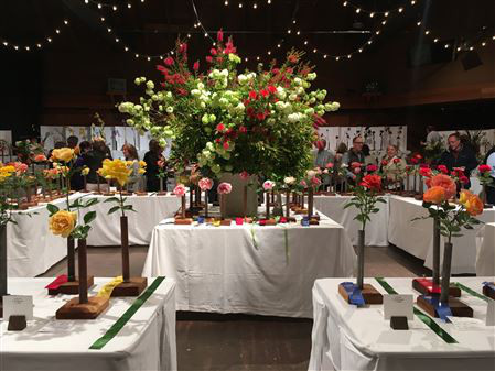 The 51st Annual Carmel Valley Garden Show