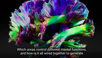 2021's Breakthroughs in Neuroscience and Other Biology