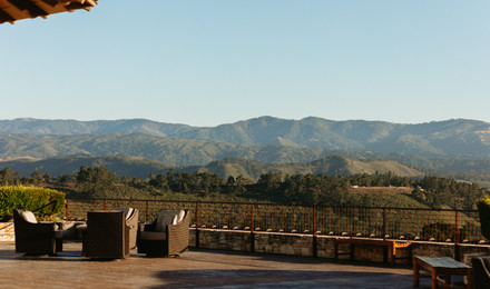 Image of Gallery Item 95b