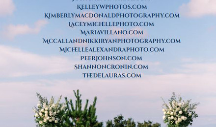 Image of Gallery Item 99b
